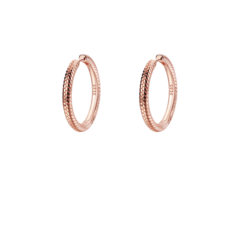Coppia di Orecchini Snake in Argento 925 - Les Folies