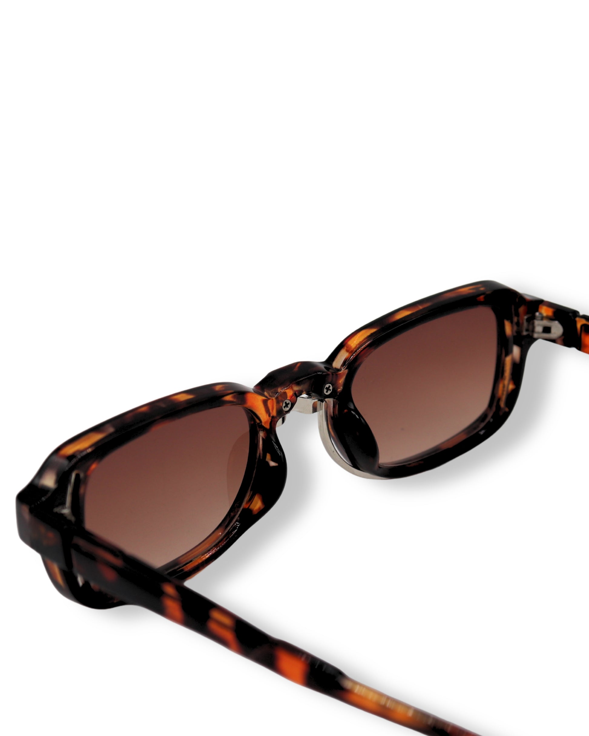 Occhiali da sole TerraClass