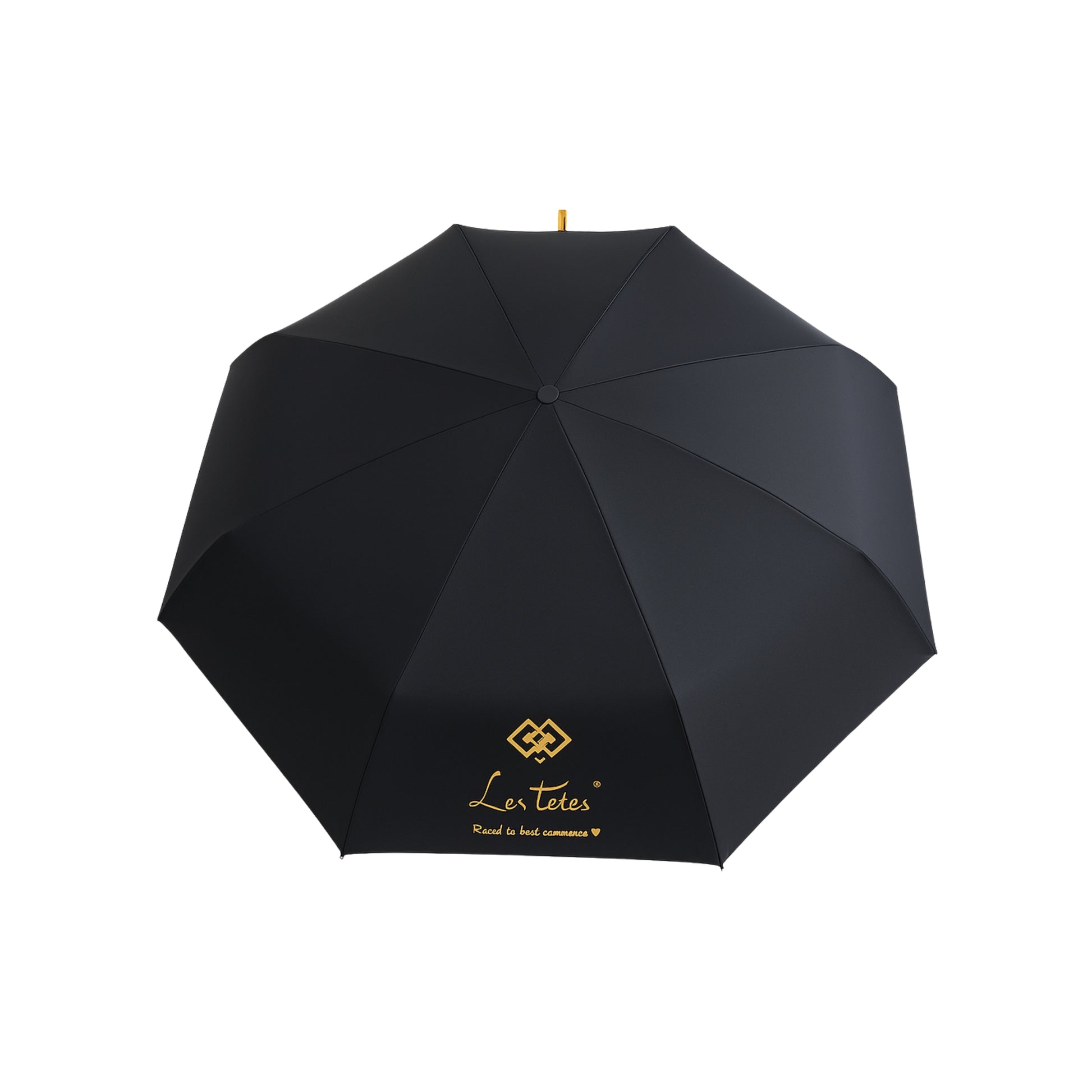 Les Folies Black Umbrella