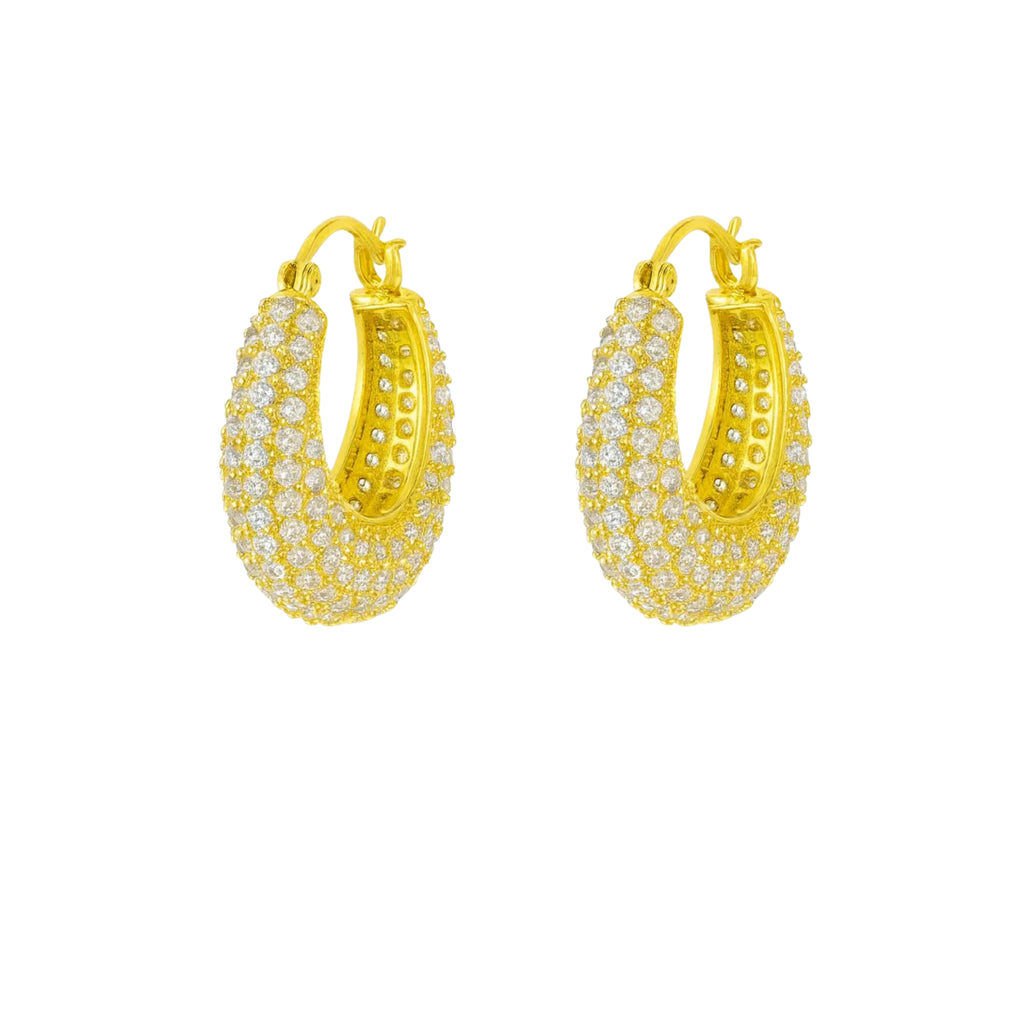 Coppia Di Orecchini_AcciaioInox "CERCHIO STRASS"