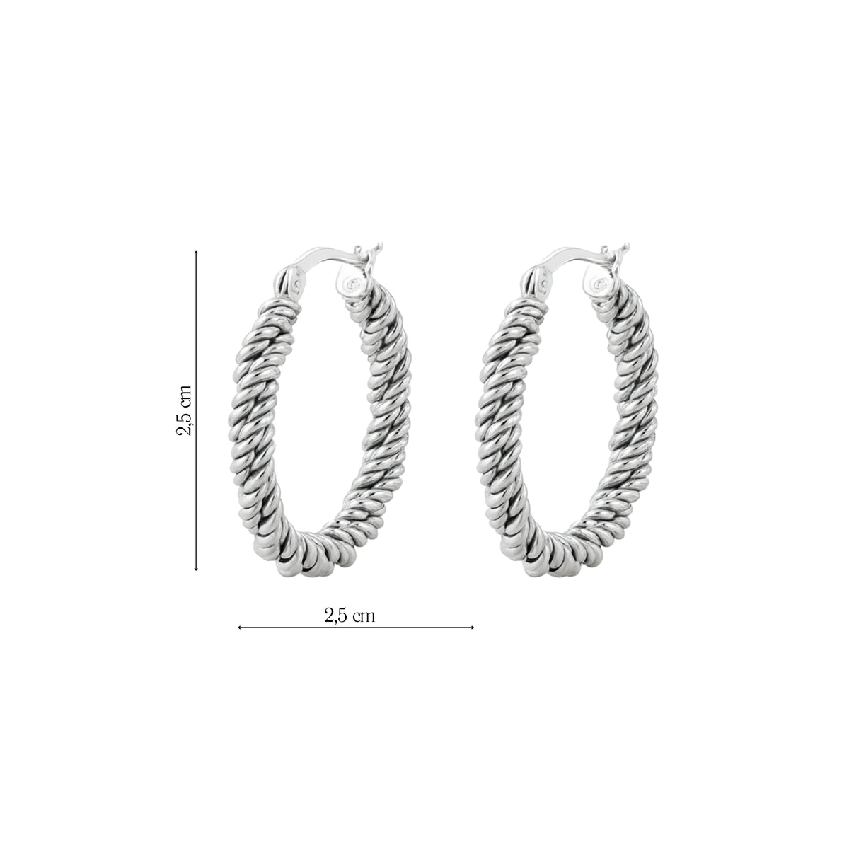 Coppia di Orecchini Cerchio in Acciaio Inox - Les Folies