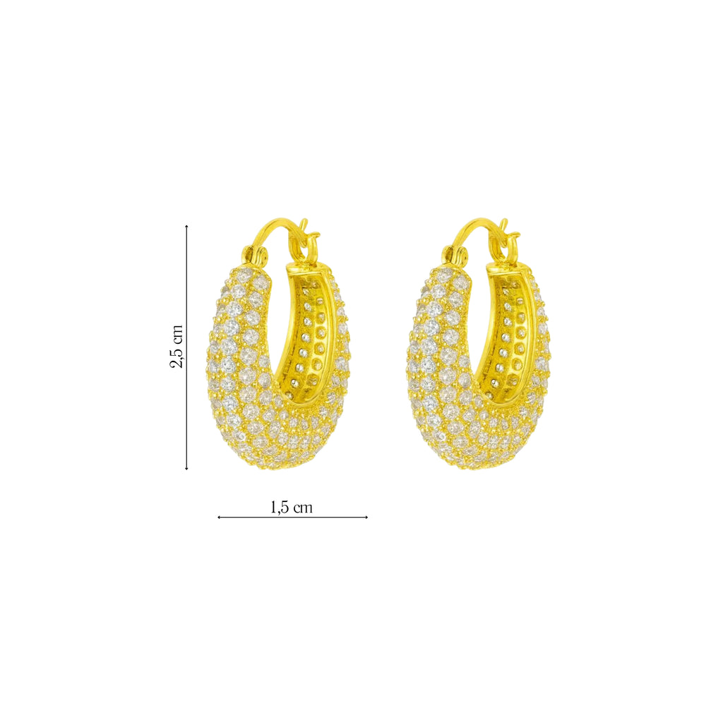 Coppia Di Orecchini_AcciaioInox "CERCHIO STRASS"