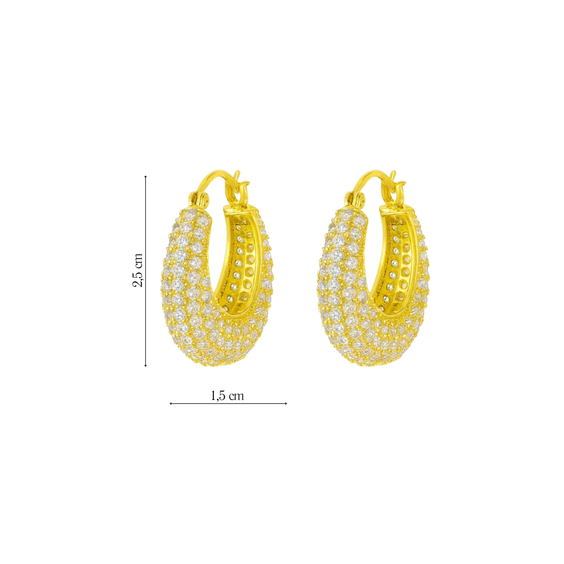 Coppia Di Orecchini_AcciaioInox "CERCHIO STRASS"