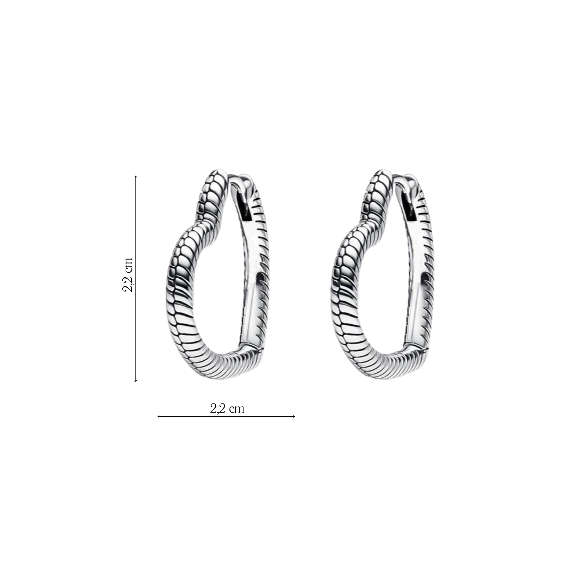 Coppia Di Orecchini_Argento 925 "SNAKE"