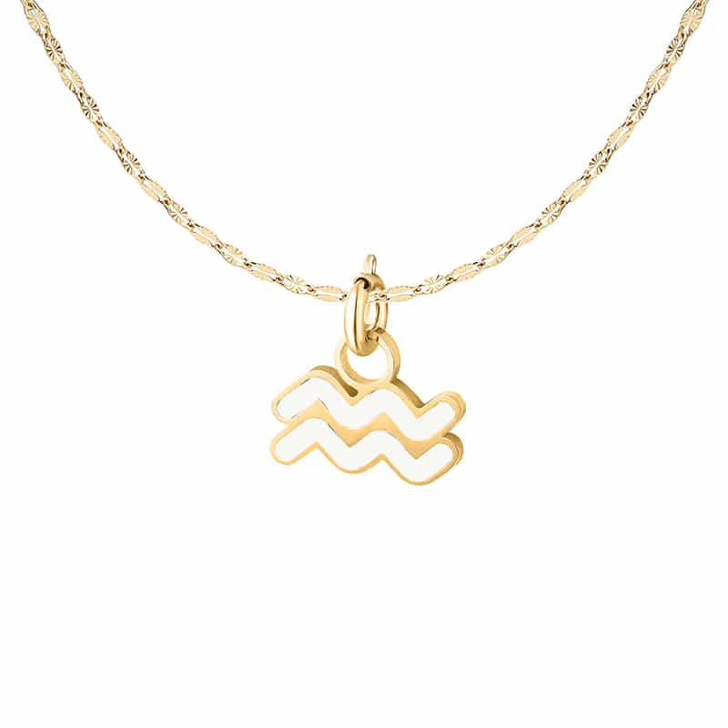 Charm Segno Zodiacale Acquario in acciaio inox Zodiaco - Brand Gioielli