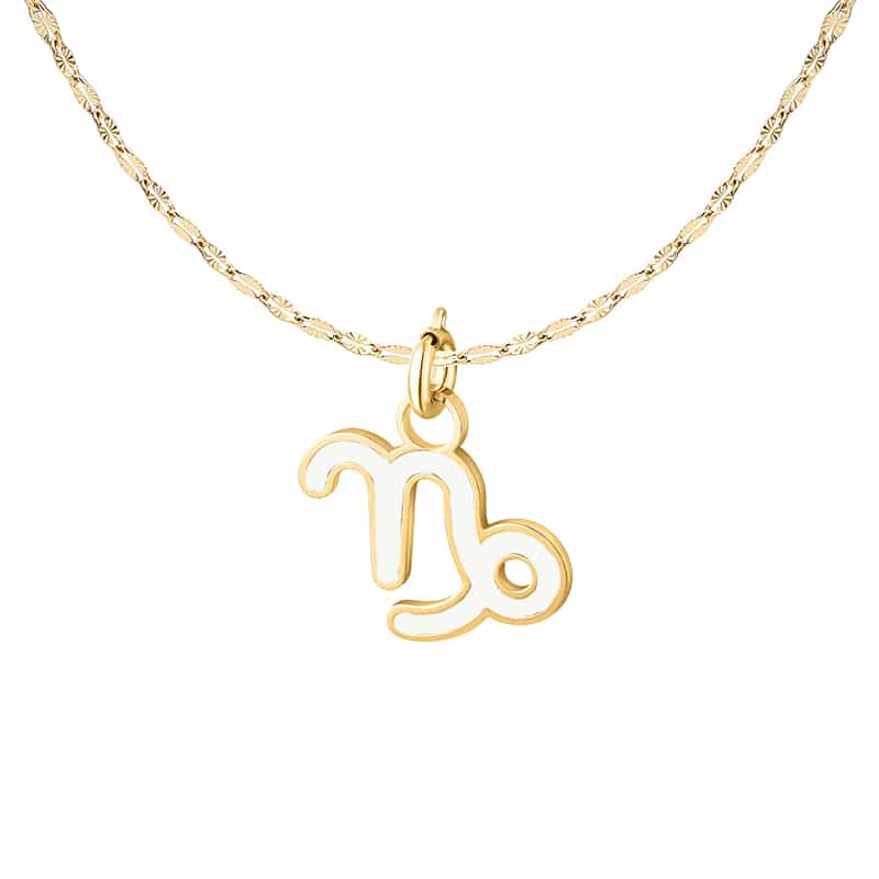 Charm Segno Zodiacale Capricorno in acciaio inox Zodiaco - Brand Gioielli
