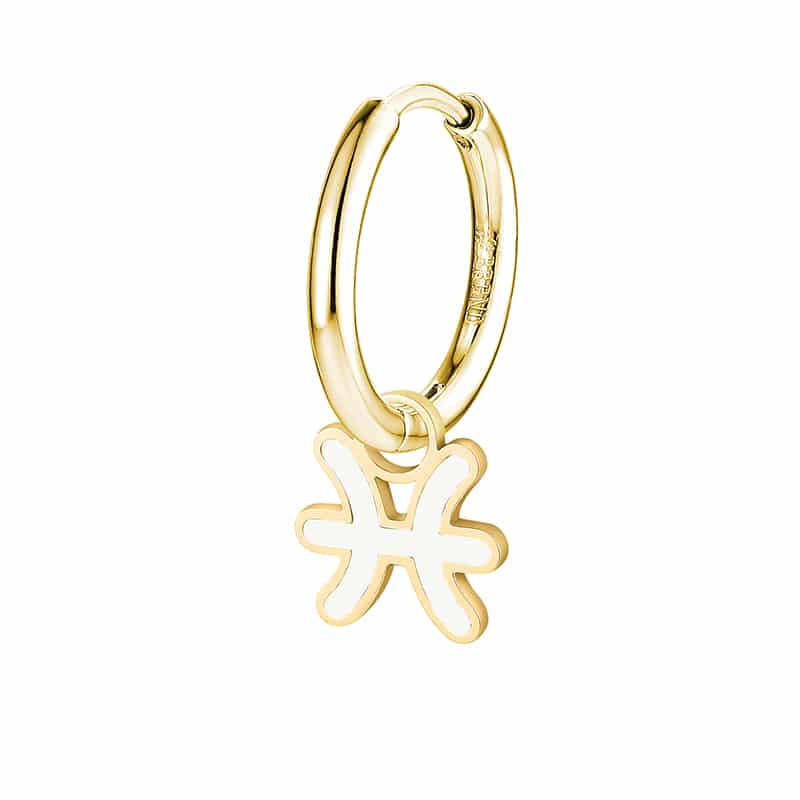 Charm Segno Zodiacale Pesci in acciaio inox Zodiaco - Brand Gioielli